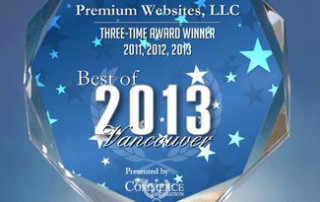 Best Website Designer 2013