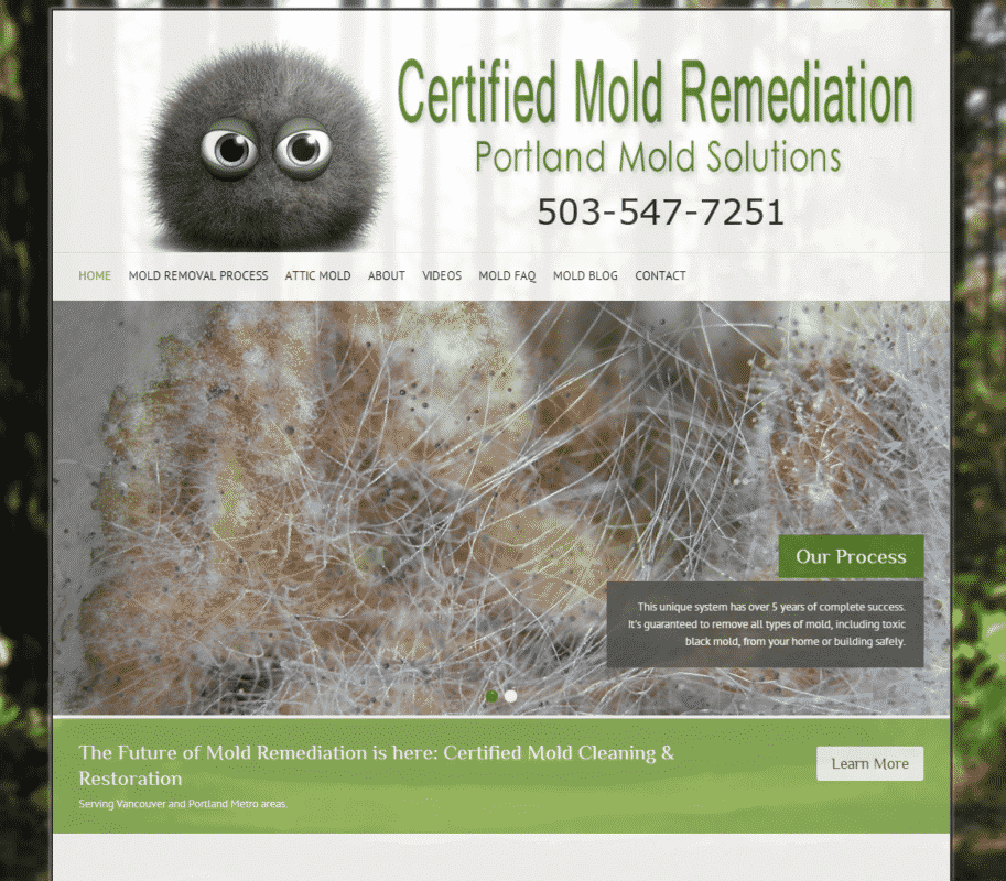 Portland Mold Solutions