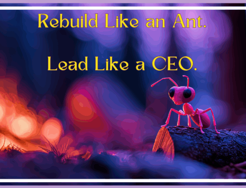 Rebuild Like an Ant. Lead Like a CEO.