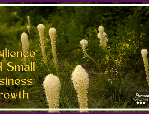 What Bear Grass Teaches About Resilience and Small Business Growth
