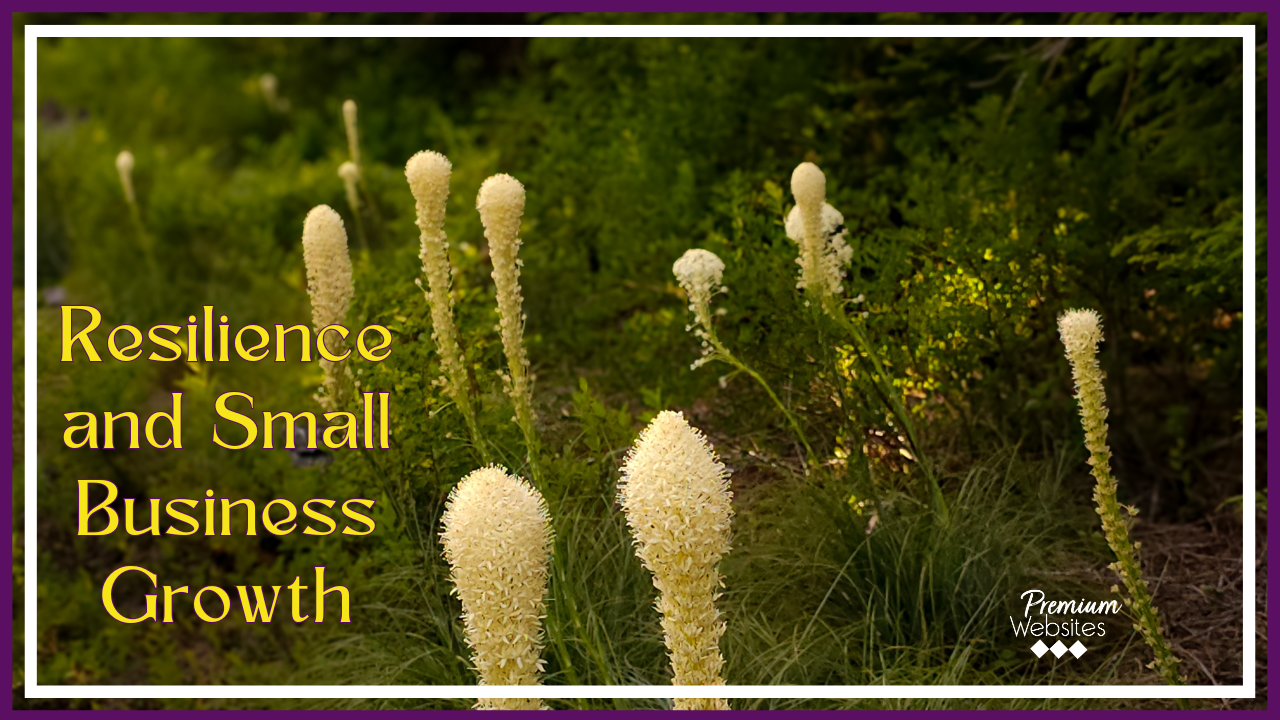 small-business-growth Small Business Growth