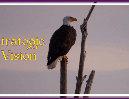 Strategic Vision, the Bald Eagle Way