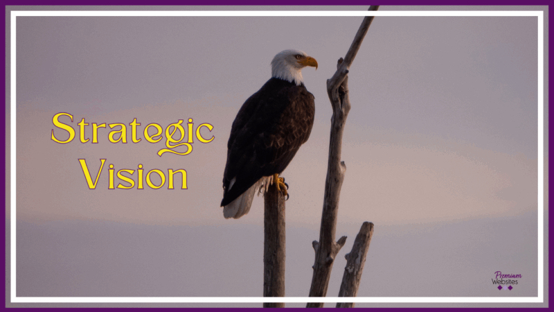 strategic-vision strategic-vision