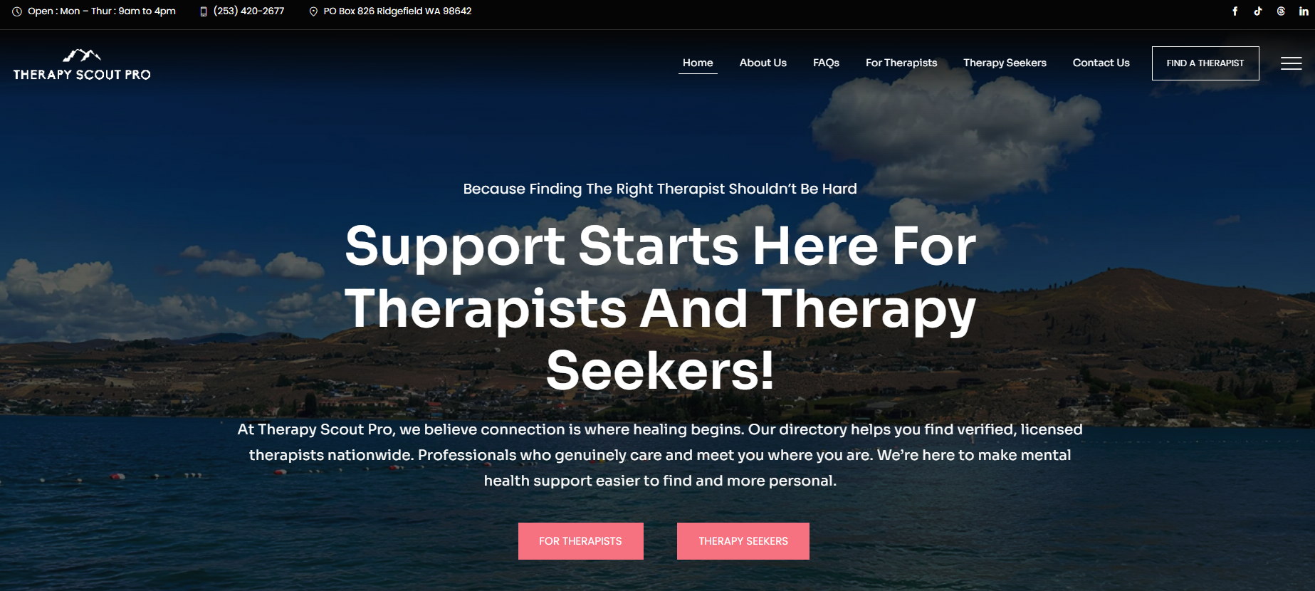 Therapy Scout Pro website